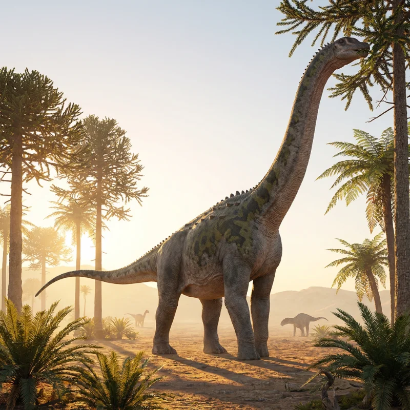 Diamantinasaurus (Diamantinasaurus matildae) 1